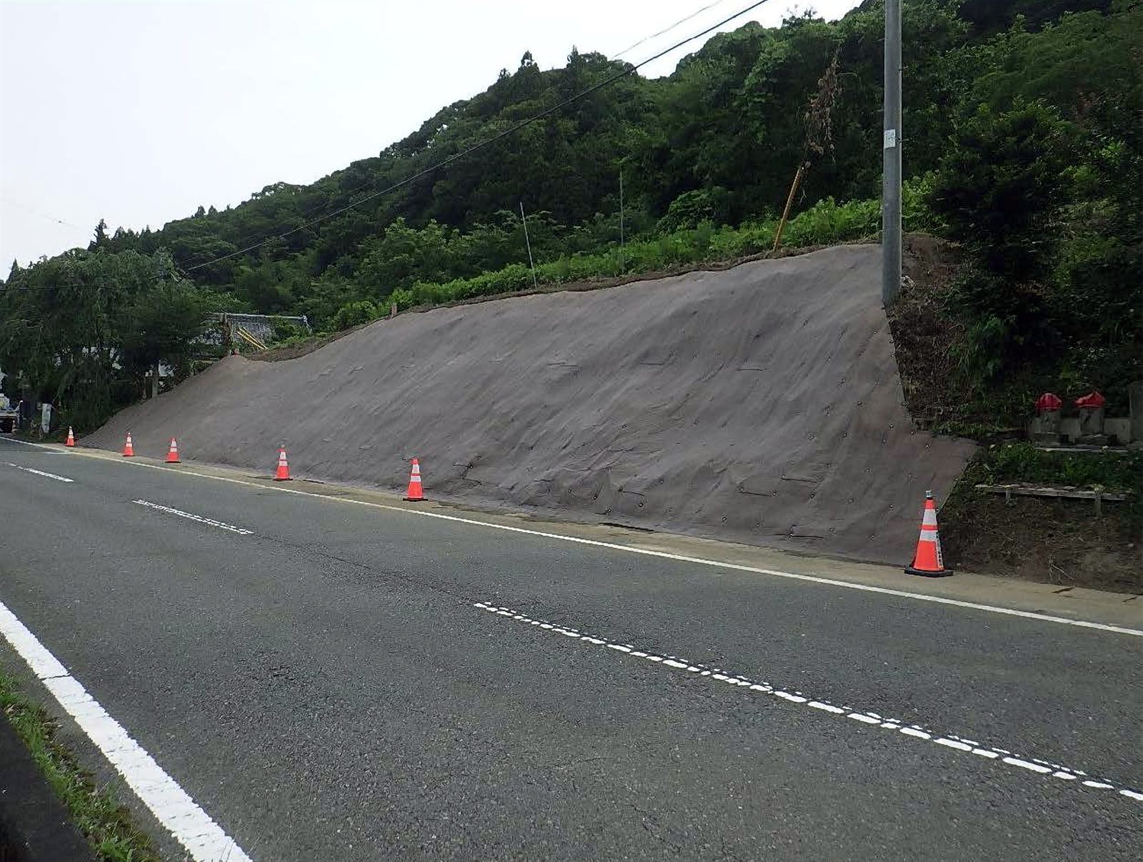 ドライマットによる法面補強工事の施工後