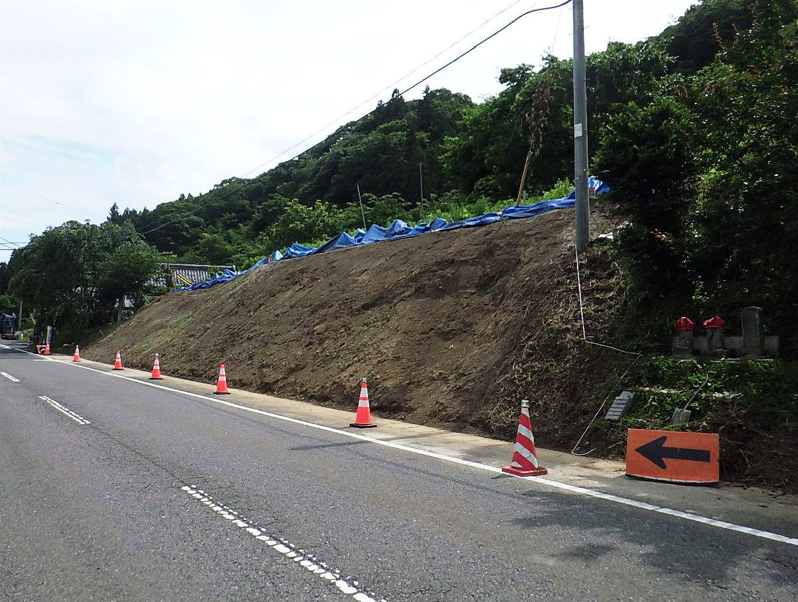 ドライマットによる法面補強工事の施工前