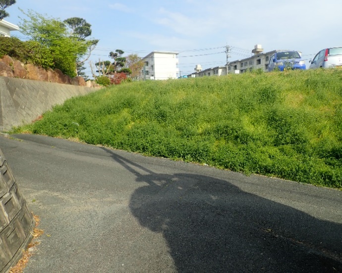 ドライマットによる防草対策の施工前